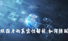 加密钱包转账图片的真实性解析：如何辨别假图