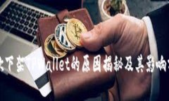 谷歌下架TPWallet的原因揭秘及其影响分析