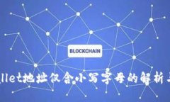 TPWallet地址仅含小写字母的解析与应用