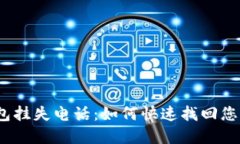 数字钱包挂失电话：如何快速找回您的资金？