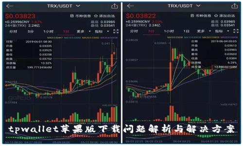 tpwallet苹果版下载问题解析与解决方案