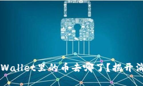 你的TP Wallet里的币去哪了？揭开消失之谜！