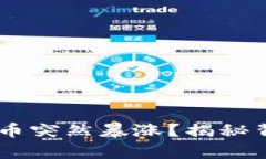 为何TPWallet上买的币突然暴涨？揭秘背后的真相与