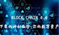 揭开TPWallet国际版下载的神秘面纱：你的数字资产