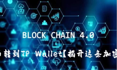 如何轻松将币转到TP Wallet？揭开这条加密之路的秘密！