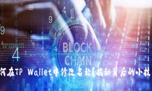 如何在TP Wallet中修改名称？揭秘背后的小技巧！
