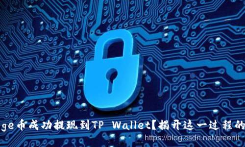 如何将Doge币成功提现到TP Wallet？揭开这一过程的神秘面纱
