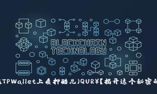 如何在TPWallet上质押酷儿（QUR）？揭开这个秘密的背后！