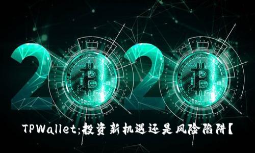 TPWallet：投资新机遇还是风险陷阱？