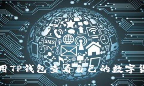 如何使用TP钱包查看自己的数字货币资产