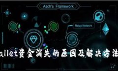 TPWallet资金消失的原因及解决方法解析