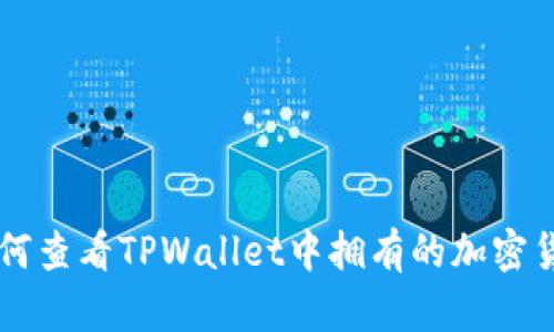 如何查看TPWallet中拥有的加密货币
