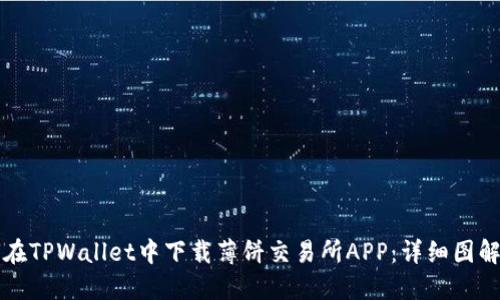 如何在TPWallet中下载薄饼交易所APP：详细图解指南