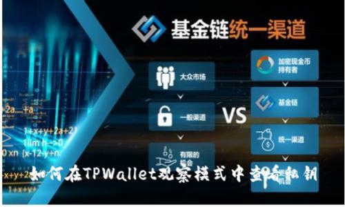 如何在TPWallet观察模式中查看私钥