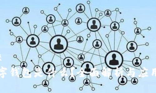 ### 
TP数字钱包是什么？全面解析与应用场景