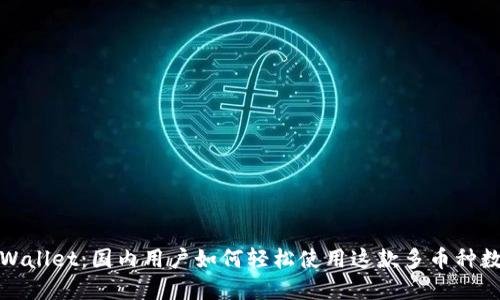 探索TPWallet：国内用户如何轻松使用这款多币种数字钱包