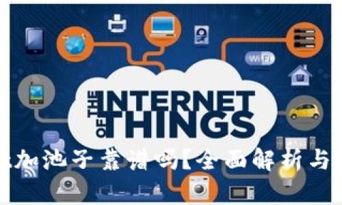 tpwallet加池子靠谱吗？全面解析与投资指南