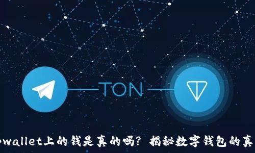   
tpwallet上的钱是真的吗? 揭秘数字钱包的真相