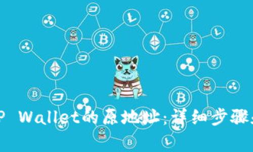 如何找回TP Wallet的原地址:详细步骤和注意事项