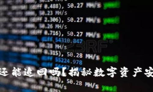 tpwallet被盗还能追回吗？揭秘数字资产安全与挽回策略