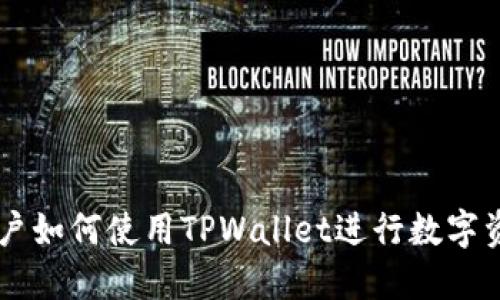 日本用户如何使用TPWallet进行数字资产管理
