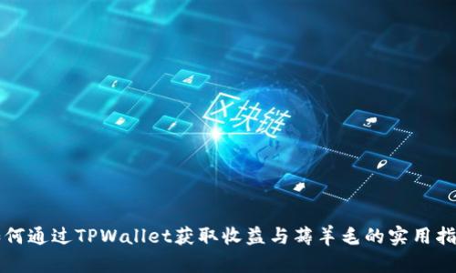 如何通过TPWallet获取收益与薅羊毛的实用指南