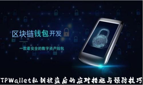 
TPWallet私钥被盗后的应对措施与预防技巧