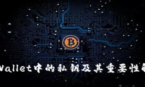 TPWallet中的私钥及其重要性解析
