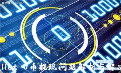 TPWallet U币提现问题解析与解决方案