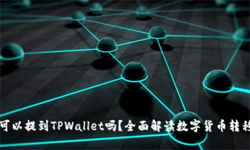所有币都可以提到TPWallet吗?全面解读数字货币转移的可能性