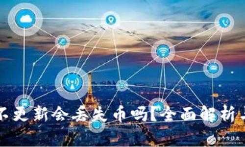 TPWallet不更新会丢失币吗？全面解析与应对策略