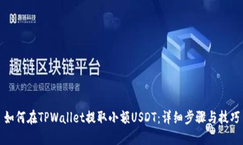 如何在TPWallet提取小额USDT：详细步骤与技巧