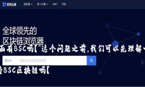 在讨论“tpwallet电脑版里面有BSC吗？”这个问题之前，我们可以先理解一下tpwallet和BSC的关系。

### tpwallet电脑版支持BSC区块链吗？