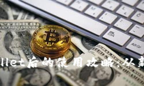 下载tpwallet后的使用攻略：从新手到专家