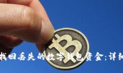 如何找回丢失的数字钱包资金：详细指南