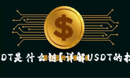 TPWallet的USDT是什么链？详解USDT的技术背景及应用
