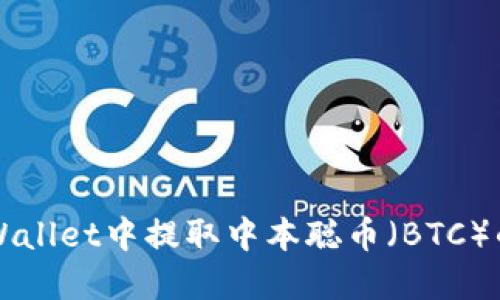 如何在TPWallet中提取中本聪币（BTC）的详细指南