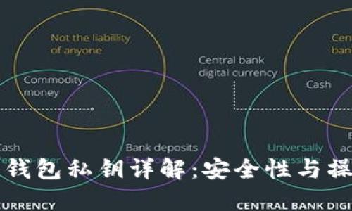 TP导入钱包私钥详解：安全性与操作指南