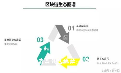 如何查询数字藏品钱包地址：全面解析与指南