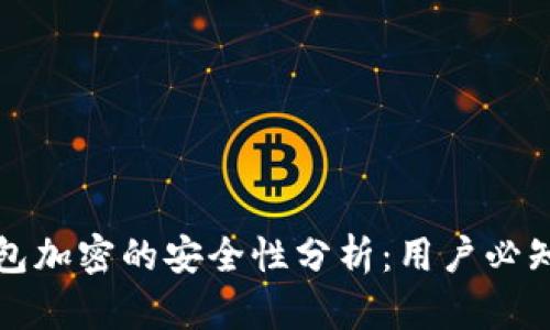 数字钱包加密的安全性分析：用户必知的要点