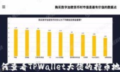 如何查看TPWallet大佬的持币地址