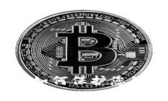 数字钱包的全面解析：如何保护您的财务安全与