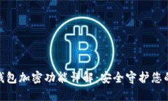 小米钱包加密功能详解：安全守护您的财务