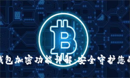 小米钱包加密功能详解：安全守护您的财务