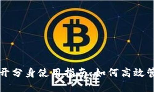 tpwallet多开分身使用指南：如何高效管理多个账户