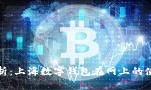 全面解析：上海数字钱包在网上的使用攻略
