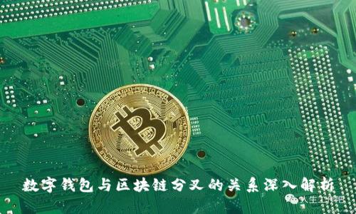 数字钱包与区块链分叉的关系深入解析