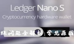 数字钱包到账问题全解析：常见原因及解决方案