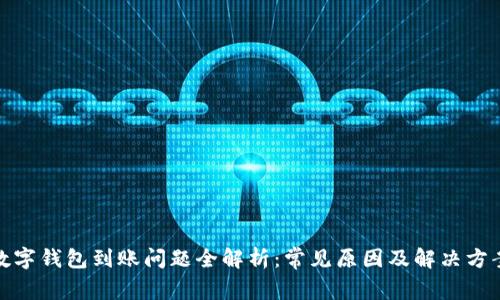 数字钱包到账问题全解析：常见原因及解决方案