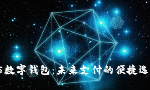 H5数字钱包：未来支付的便捷选择